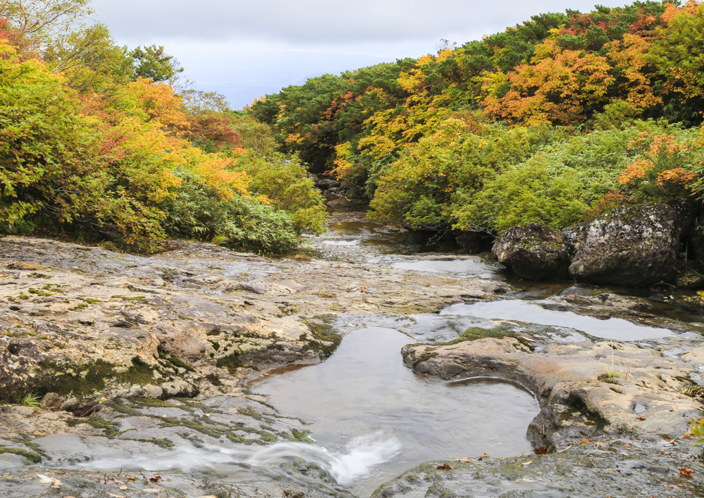 栗駒山新湯沢の紅葉(下流側）