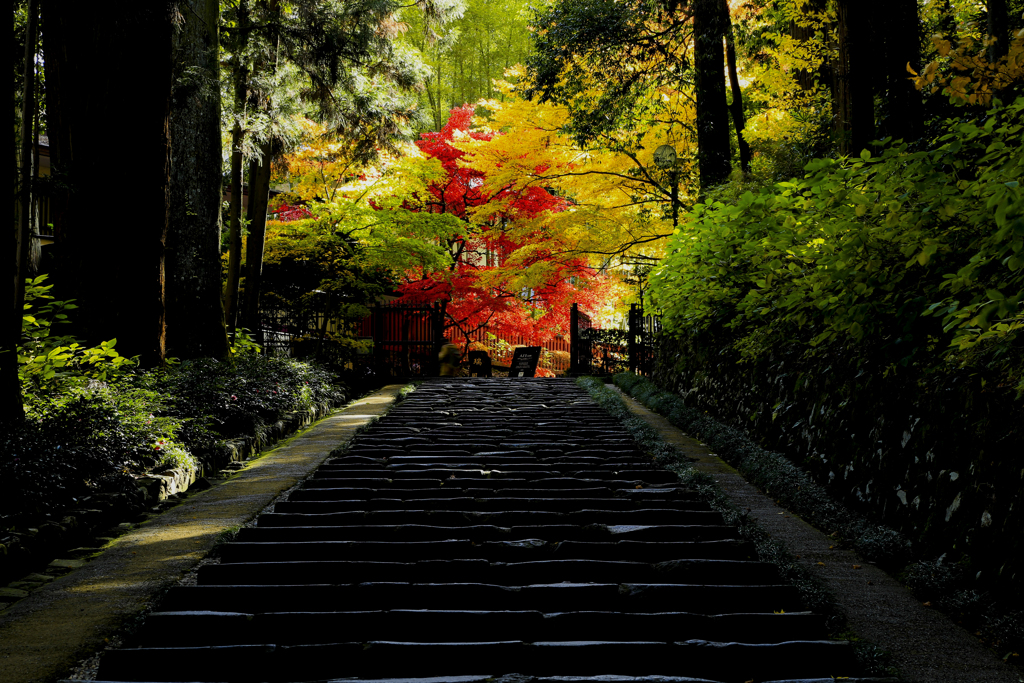 瑞鳳殿参道
