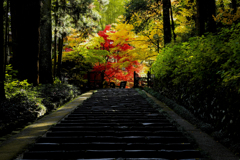 瑞鳳殿参道
