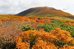 錦繍の栗駒山