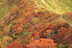 登山道の紅葉