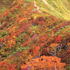 登山道の紅葉