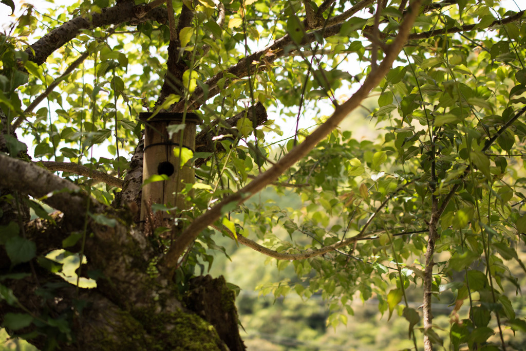 Birdhouse