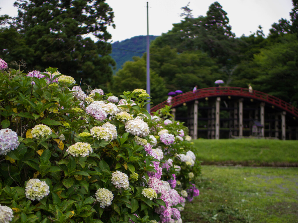 Rainy Day