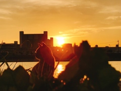 猫の日