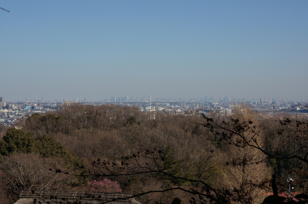 百草園からの景色