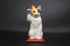 三毛猫