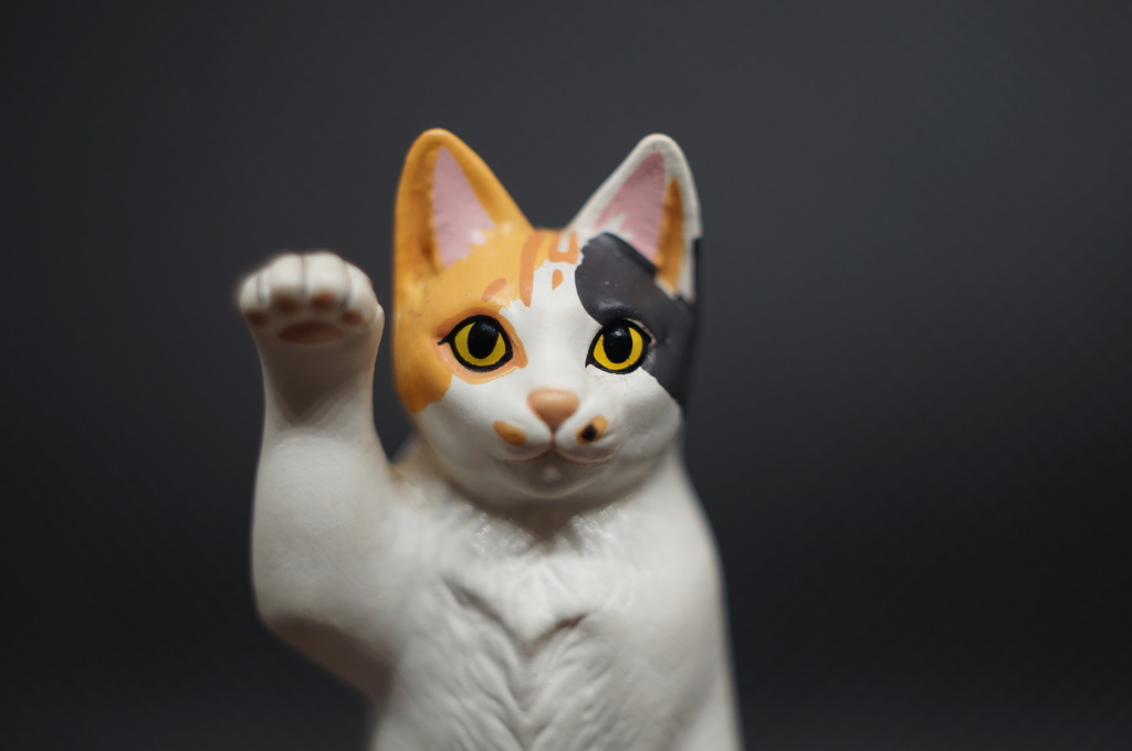 三毛猫　その2