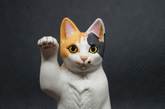 三毛猫　その3