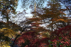 紅葉と五重塔