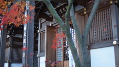 秋の残り