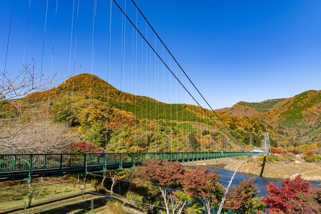 紅葉と吊橋