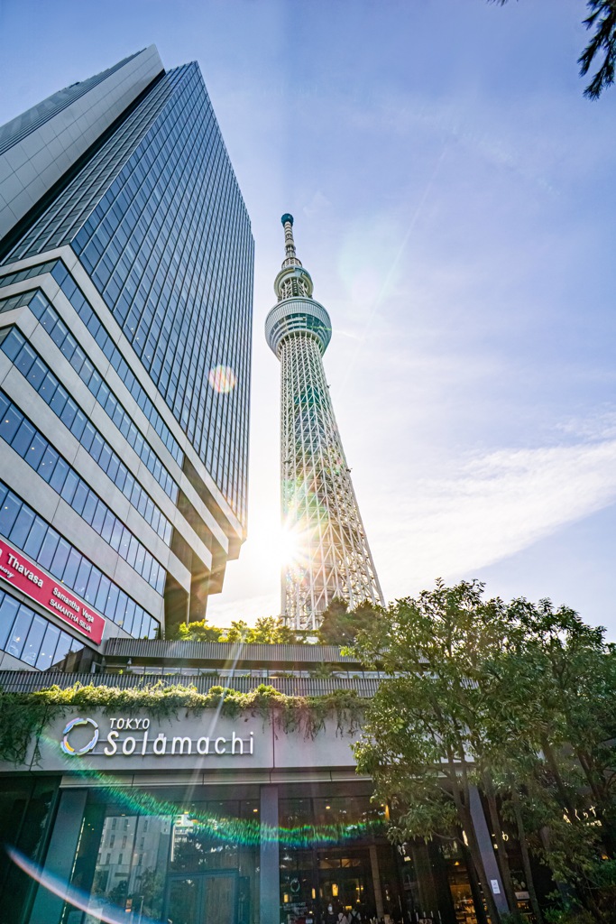 スカイツリー