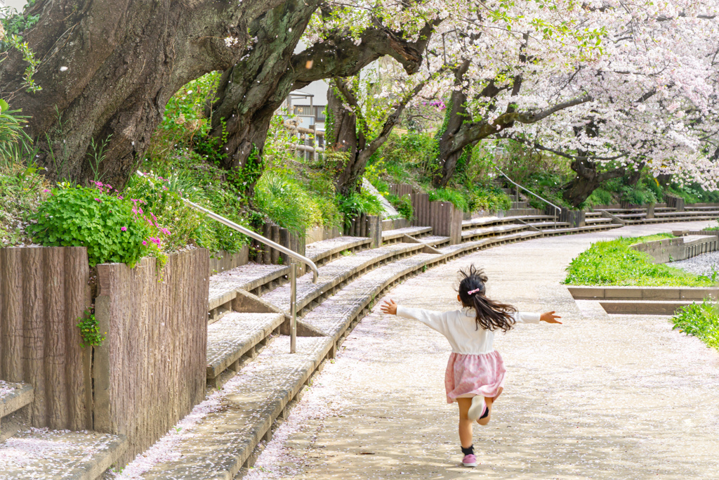 桜と子供