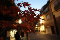 DA7AD073-EB62-43FD-86E2-DC3CA5CDA848