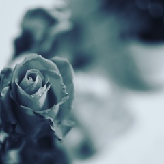 一輪の花
