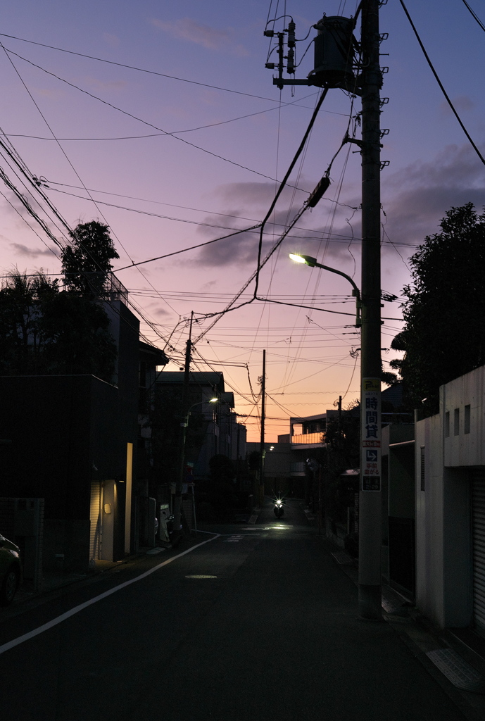 通りの夕景
