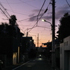 通りの夕景