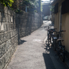露地