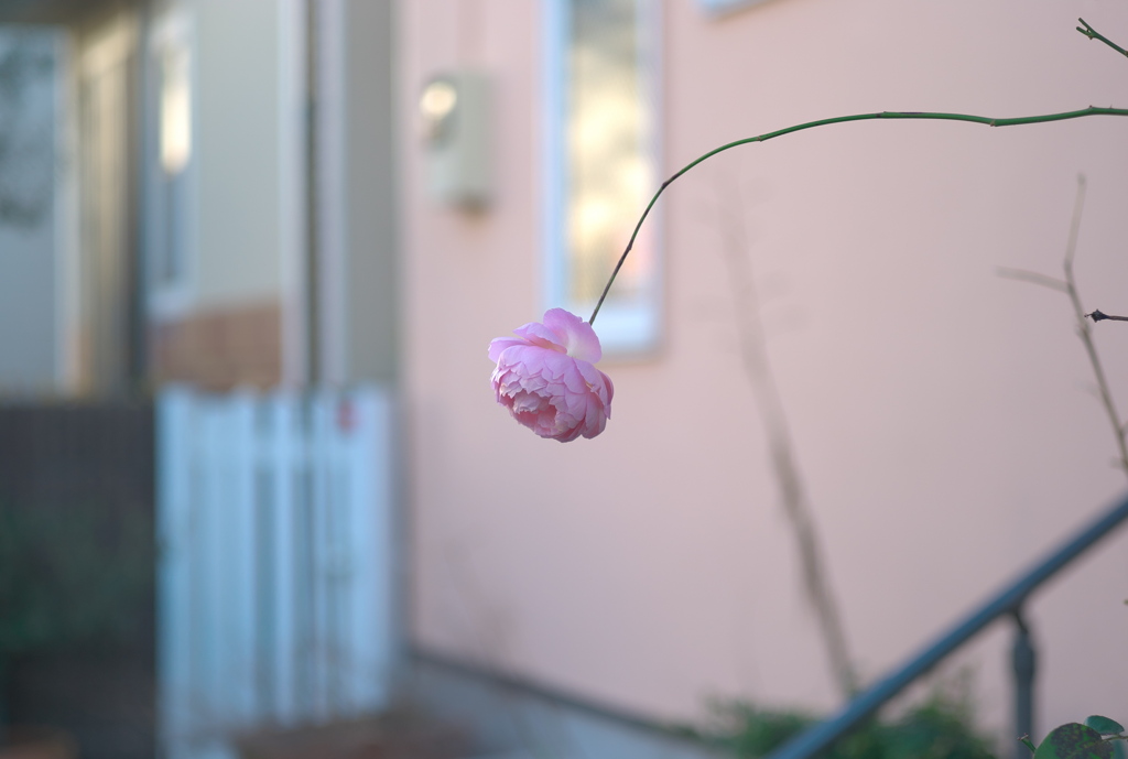 一つ