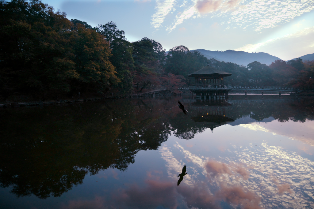 晩秋の朝