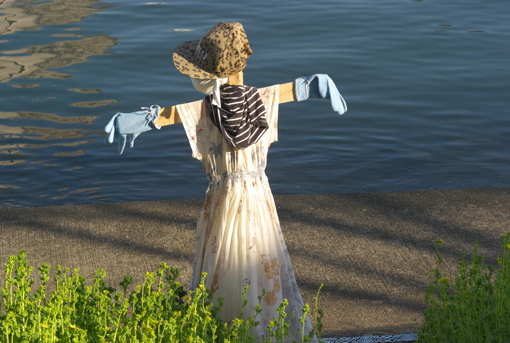 勝島運河の女神(^^;