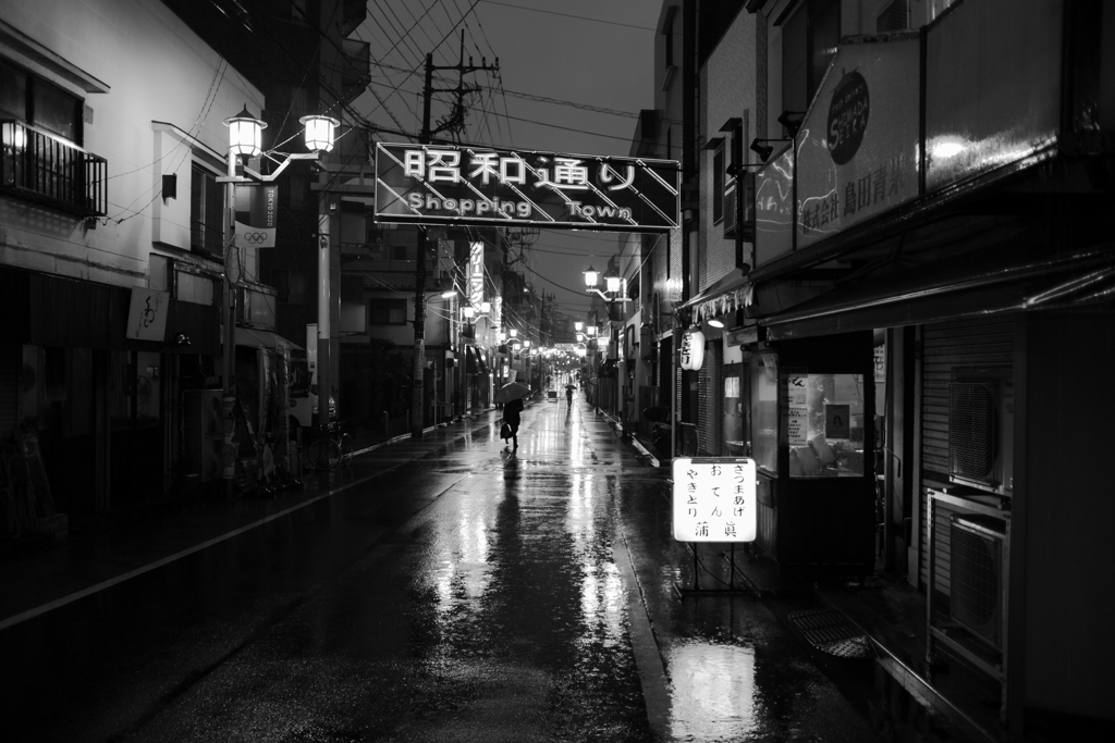 雨の昭和通り：モノクロ