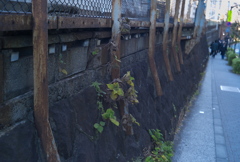 生きる