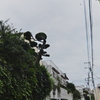 昨日の帰り道