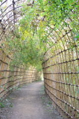 向島百花園：季節の曲がり角