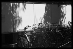 放置自転車の集合