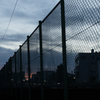 夕景：金網