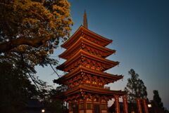 高幡不動尊　五重の塔