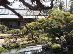 柴又帝釈天