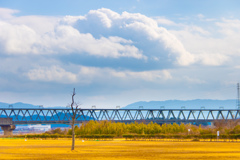 公園
