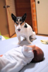 弟よ、いつになったら一緒に遊んでくれるの？