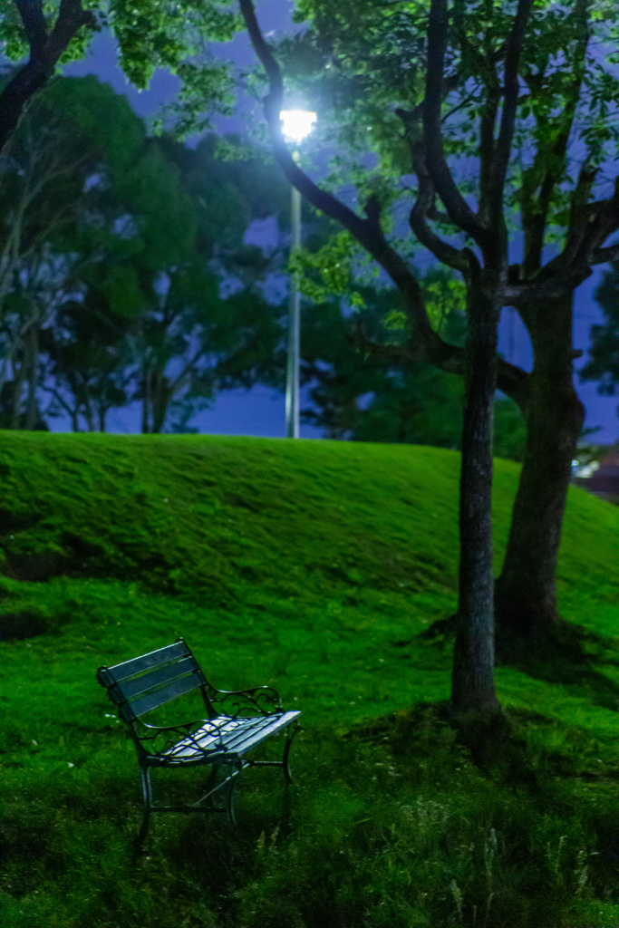 夜風と虫の声