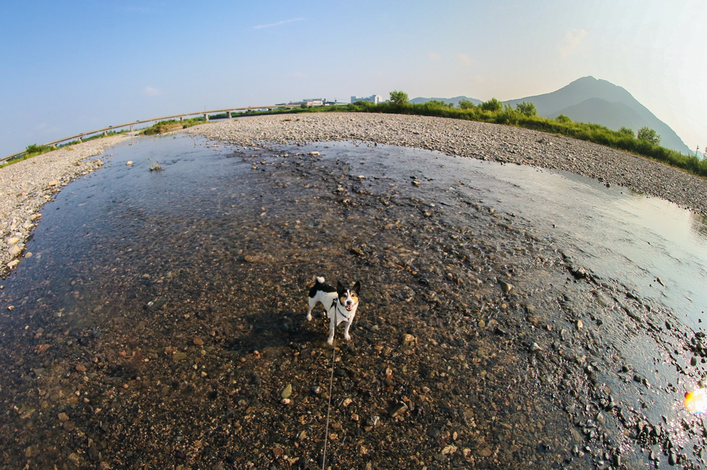 水遊び