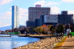 冬のなぎさ公園