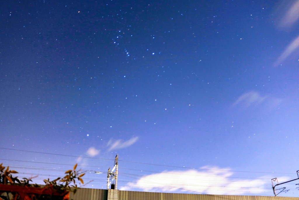 庭から見上げる夜空