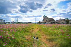 今日もまた　思い出ひとつ　秋の空