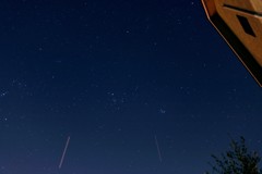 庭から見上げる夜空