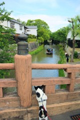 ぼくも乗りたいなぁ