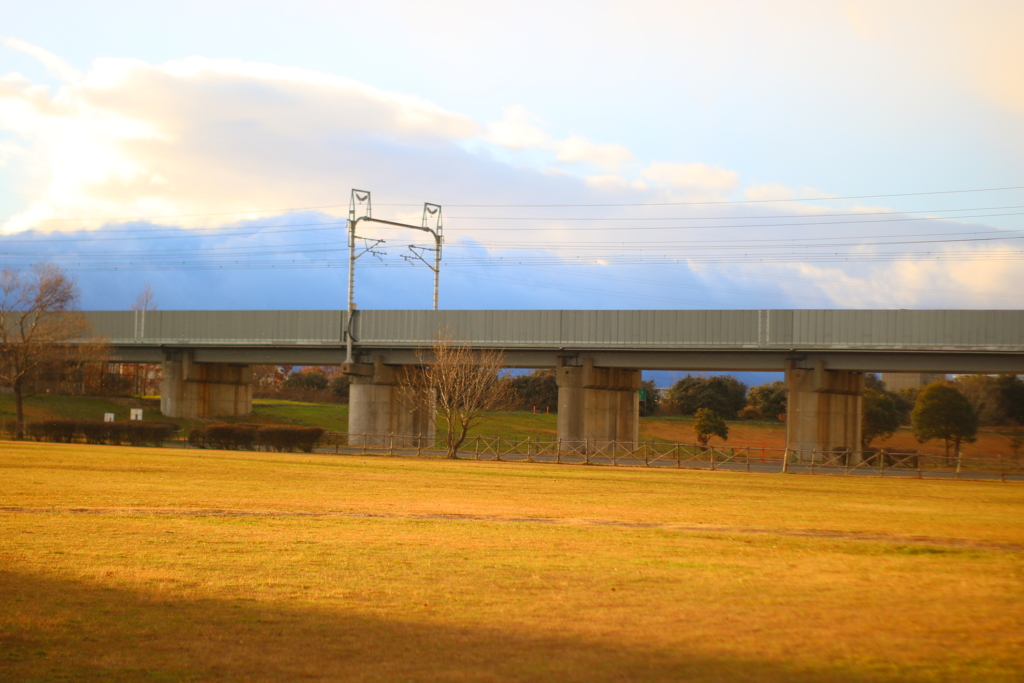 いつもの散歩道