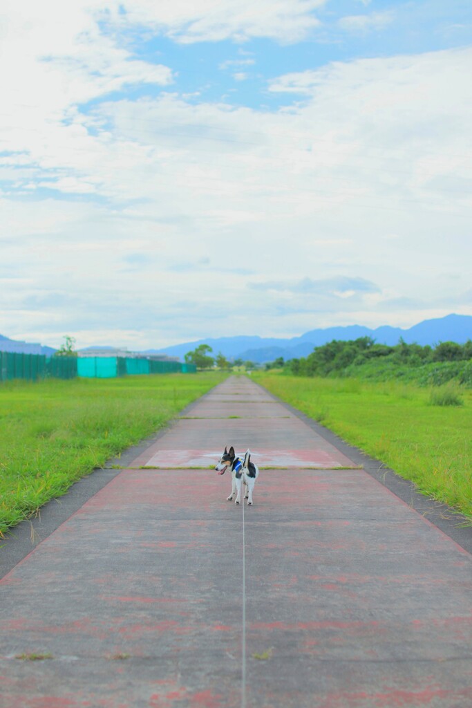 大空に続く道