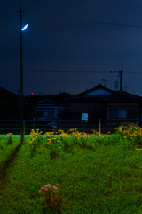 家路