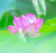 目醒め