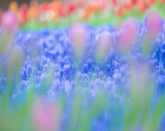 spring palette