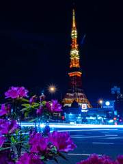 夜景に挑戦①