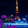 夜景に挑戦①